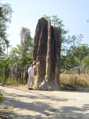 Termite Mounts